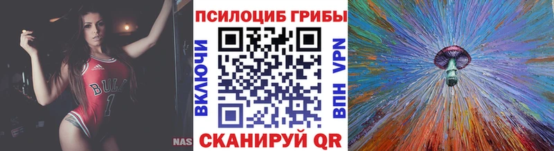Галлюциногенные грибы Psilocybine cubensis  Купить закладки  Курганинск 